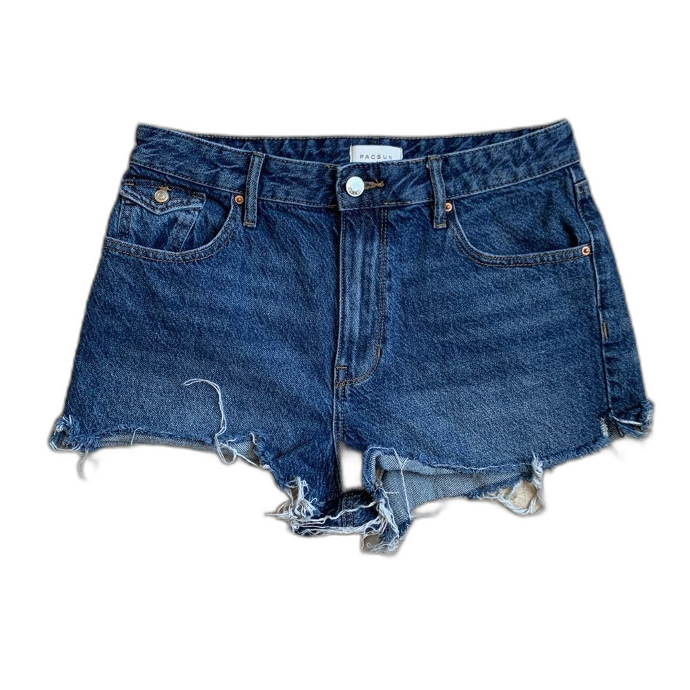 Pacsun High Rise Festival Size 29